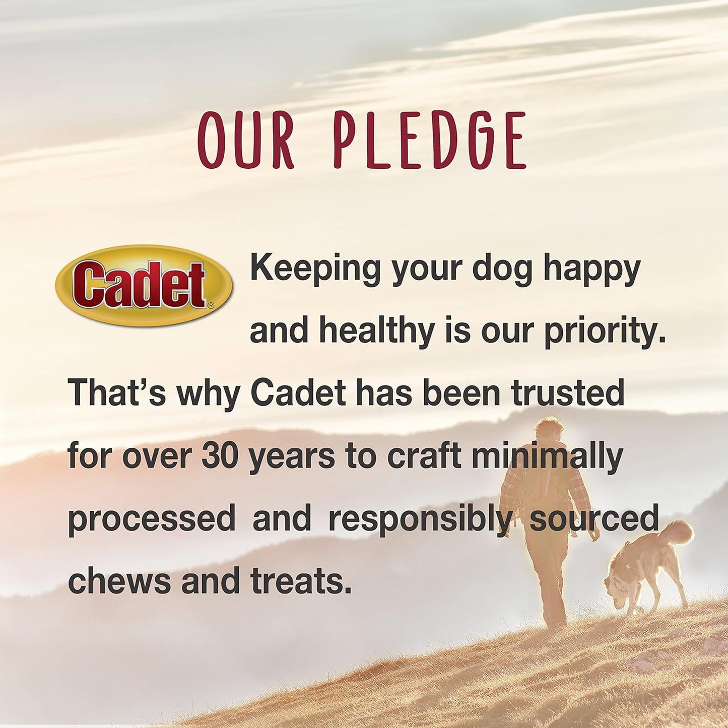 Gourmet Apple & Chicken Dog Treats Wraps - Healthy & Natural Chicken & Apple Dog Training Treats for Small & Large Breeds - Inspected & Tested in USA (28 Oz.)