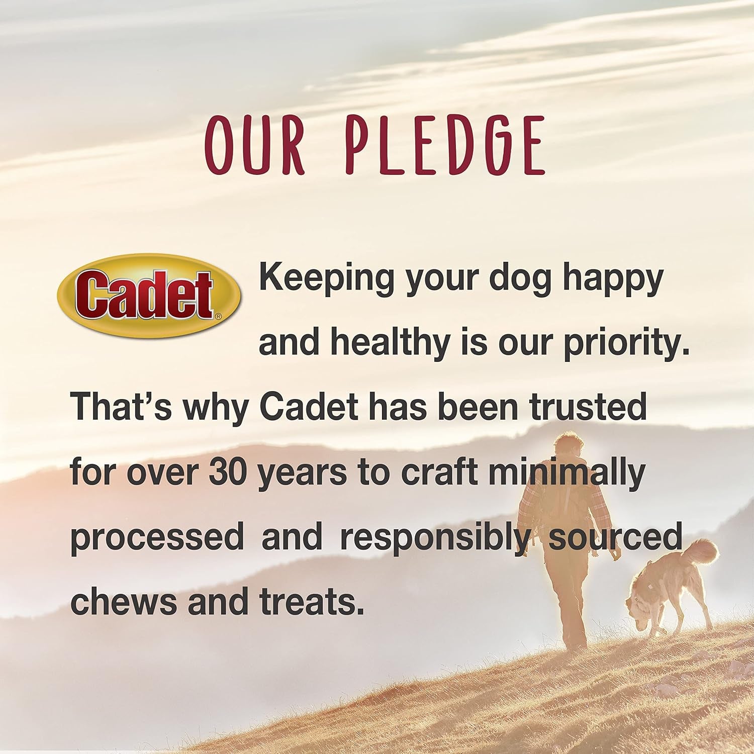 Gourmet Apple & Chicken Dog Treats Wraps - Healthy & Natural Chicken & Apple Dog Training Treats for Small & Large Breeds - Inspected & Tested in USA (28 Oz.)