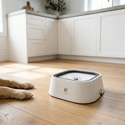 Anti-splash pet water bowl — Modern home lifestyle | Generated by Modelize